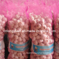 Fresh Garlic From Factory in Jinxiang